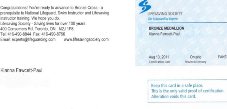 Bronze Medallion Bronze Medallion